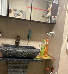 Blk 1F The Pinnacle@Duxton (Bukit Merah), HDB 4 Rooms #609204811